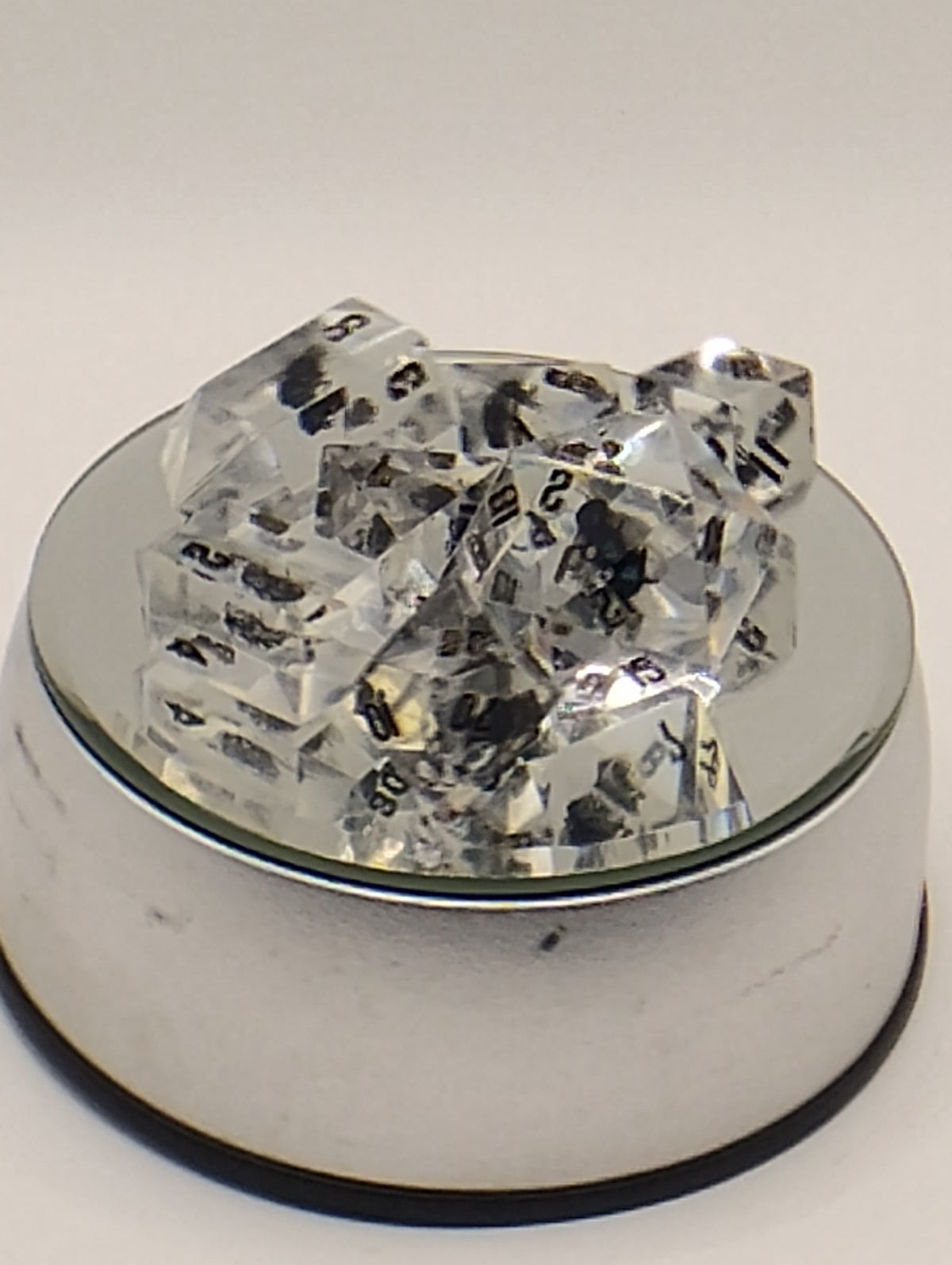 Shoo Fly | Handmade Clear D&D Dice with Real Dead Flies | Black Ink TTRPG Dice | Dungeons and Dragons Dice