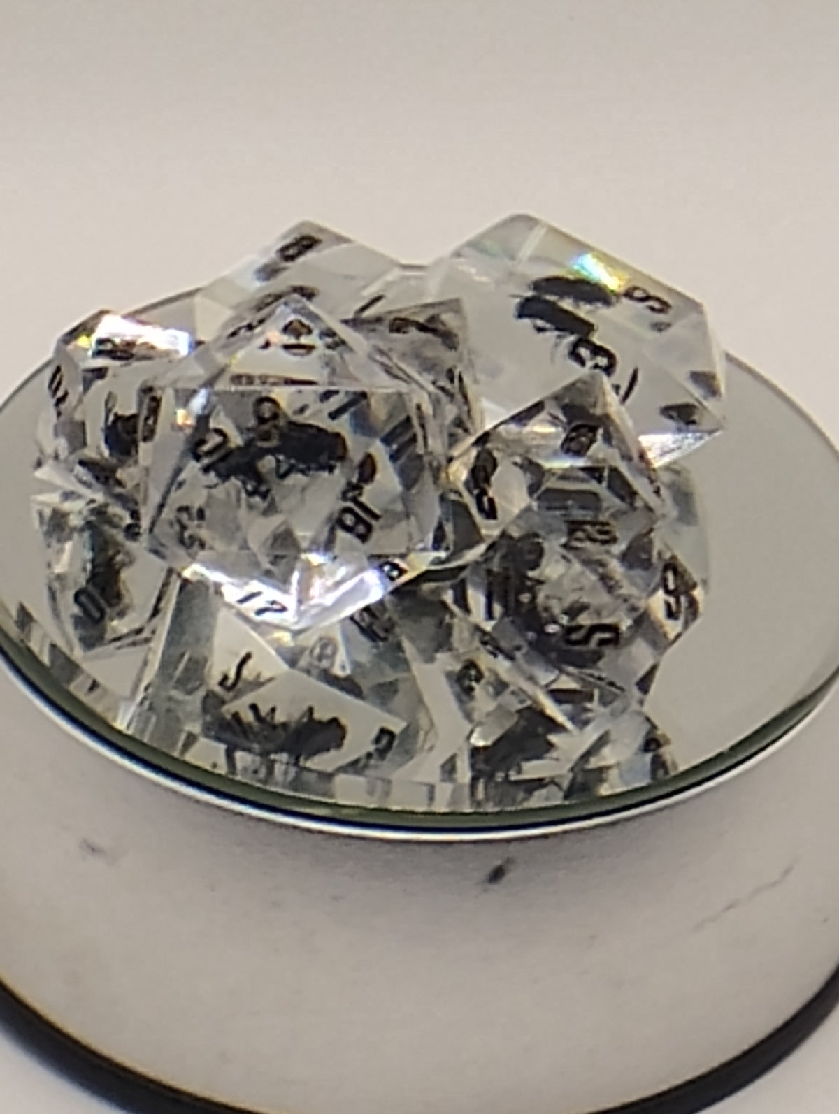 Shoo Fly | Handmade Clear D&D Dice with Real Dead Flies | Black Ink TTRPG Dice | Dungeons and Dragons Dice