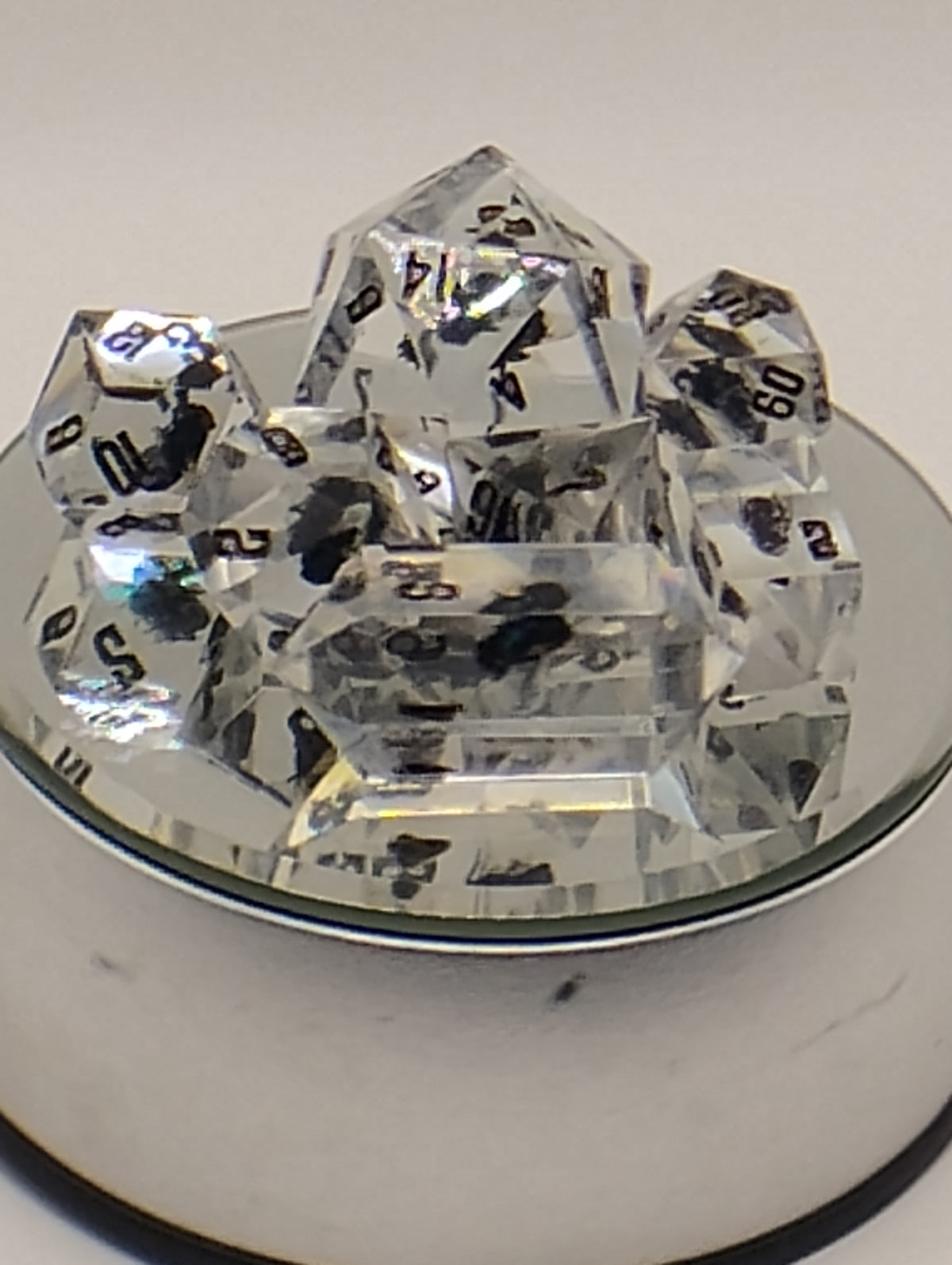 Shoo Fly | Handmade Clear D&D Dice with Real Dead Flies | Black Ink TTRPG Dice | Dungeons and Dragons Dice