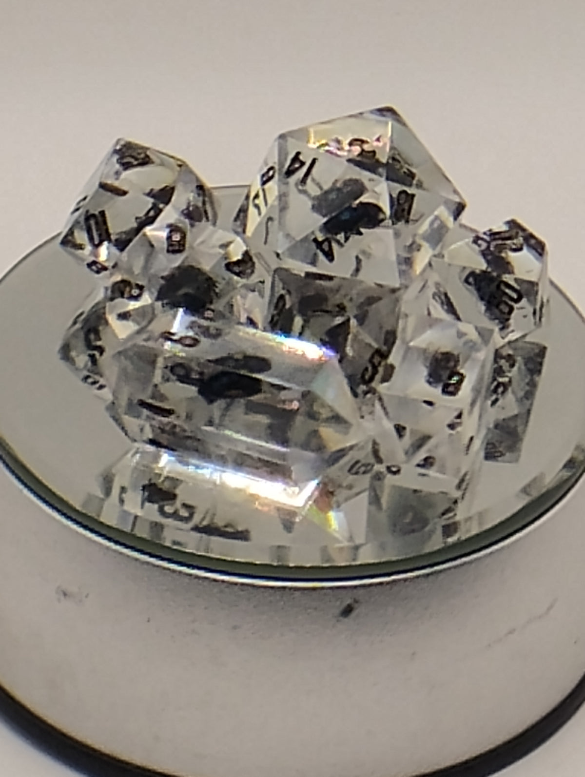 Shoo Fly | Handmade Clear D&D Dice with Real Dead Flies | Black Ink TTRPG Dice | Dungeons and Dragons Dice